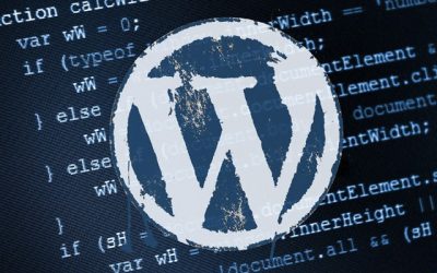 La mort annoncée des prestataires WordPress  ?